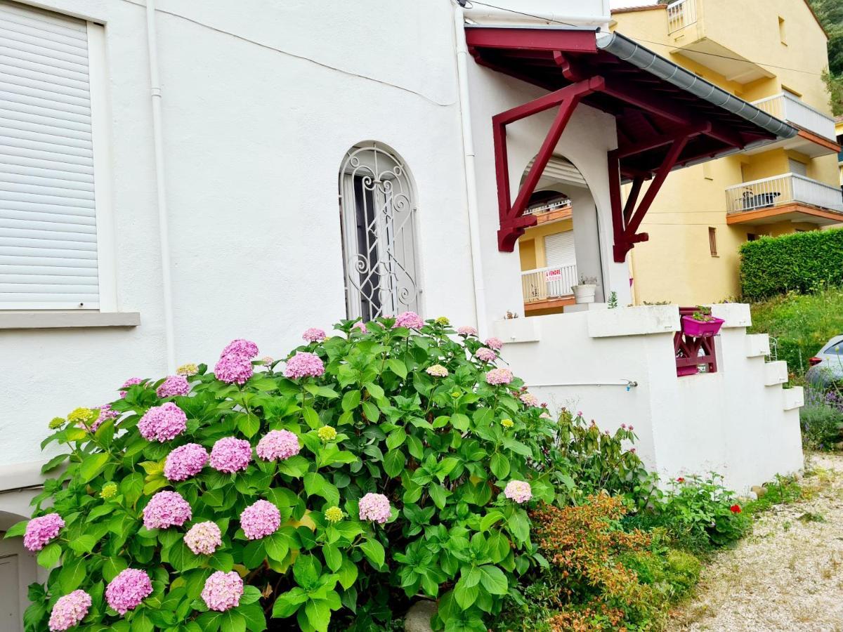 Villa La Closeraie Amelie-les-Bains-Palalda Exterior photo